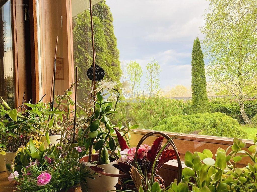 A hét lakása: egy akadálymentesen megközelíthető szépség a Hárshegyen